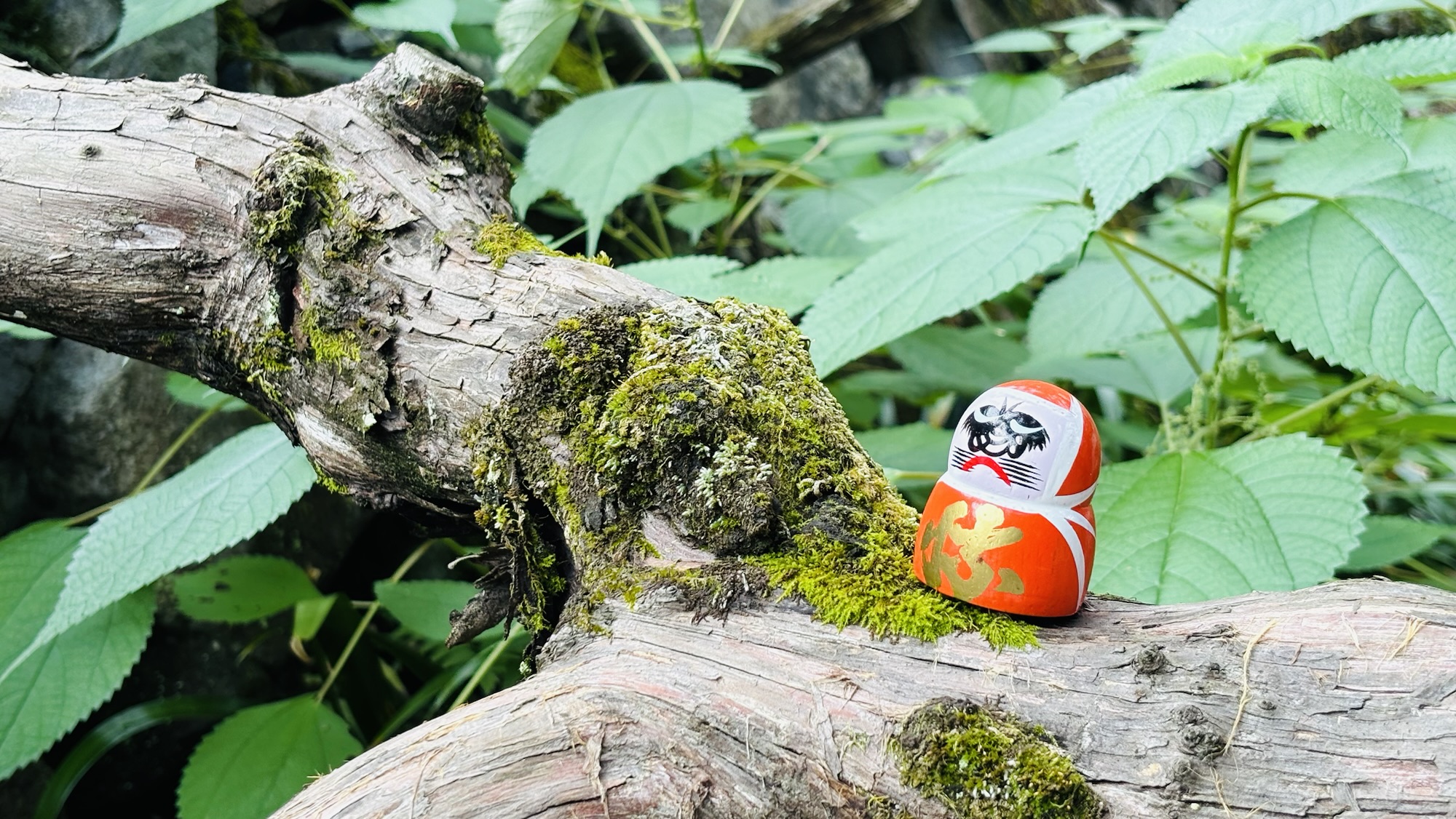 諾貝爾經濟學獎討論 @Esme hu的雲榕相映